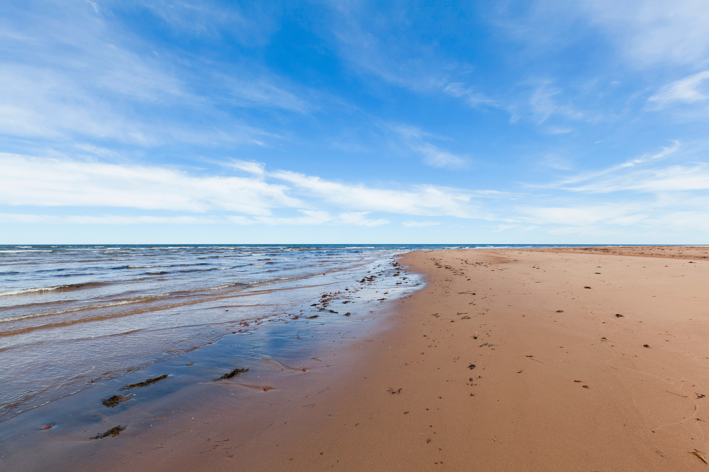 prince regent inlet (2).webp